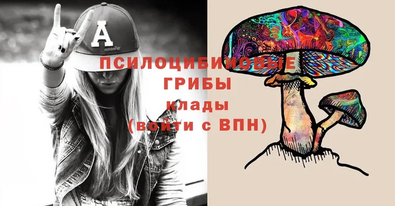 Галлюциногенные грибы Cubensis  ссылка на мегу ссылка  Выкса 